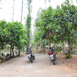 plan-03